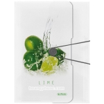 Wallet folder - Bìa dây Fruit Lime