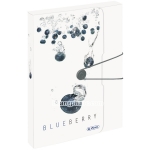Document box - Bìa hộp Fruit Blueberry