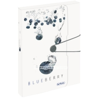 Document box - Bìa hộp Fruit Blueberry