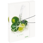 Document box - Bìa hộp Fruit Lime